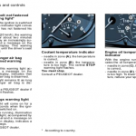 Insturmens panels of Peugeot 206